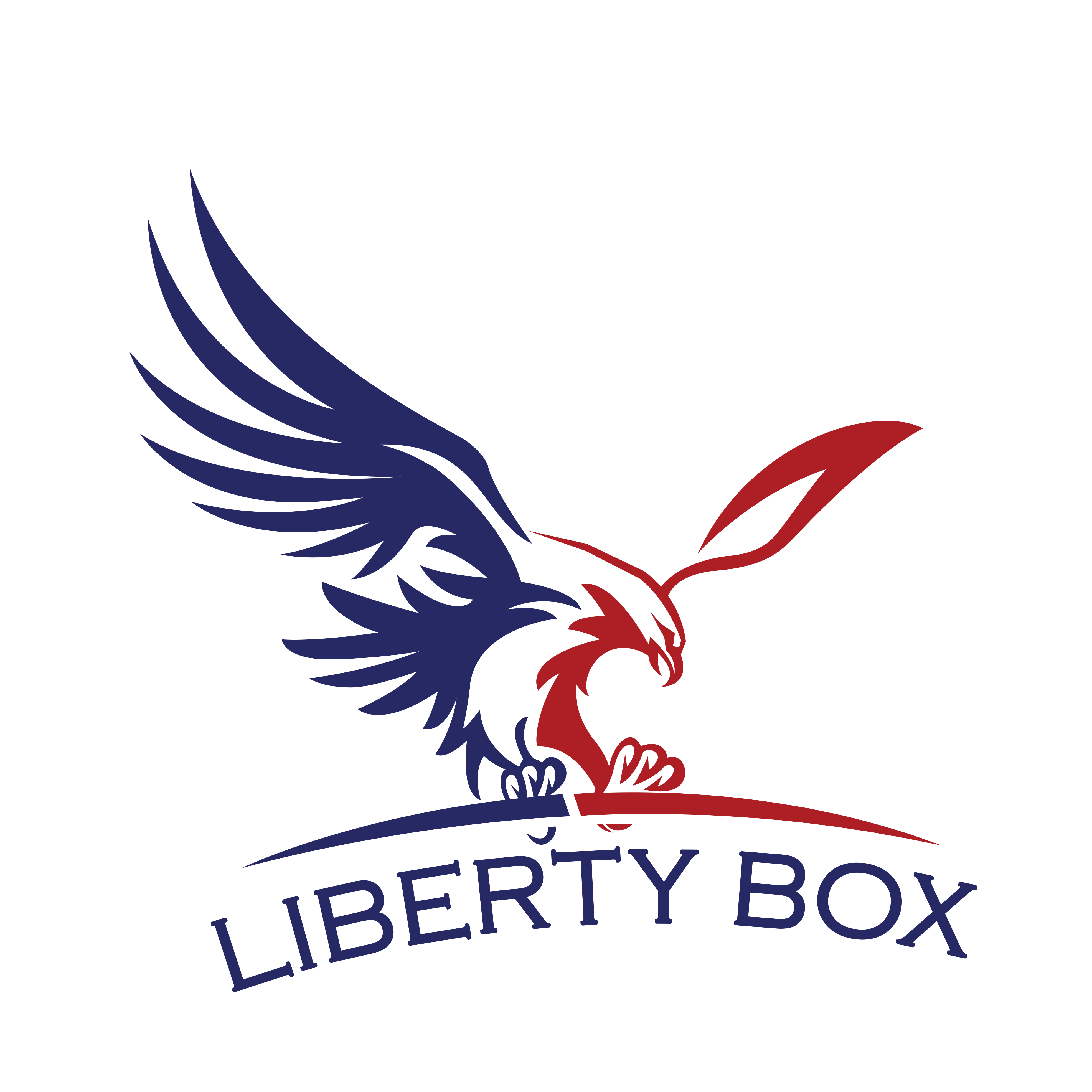 Liberty Box